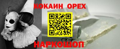 сатива Кандалакша