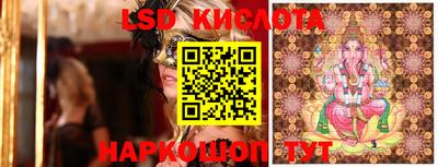 сатива Кандалакша