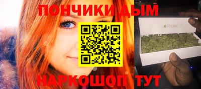 сатива Кандалакша