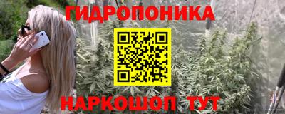 mdpv Камышлов