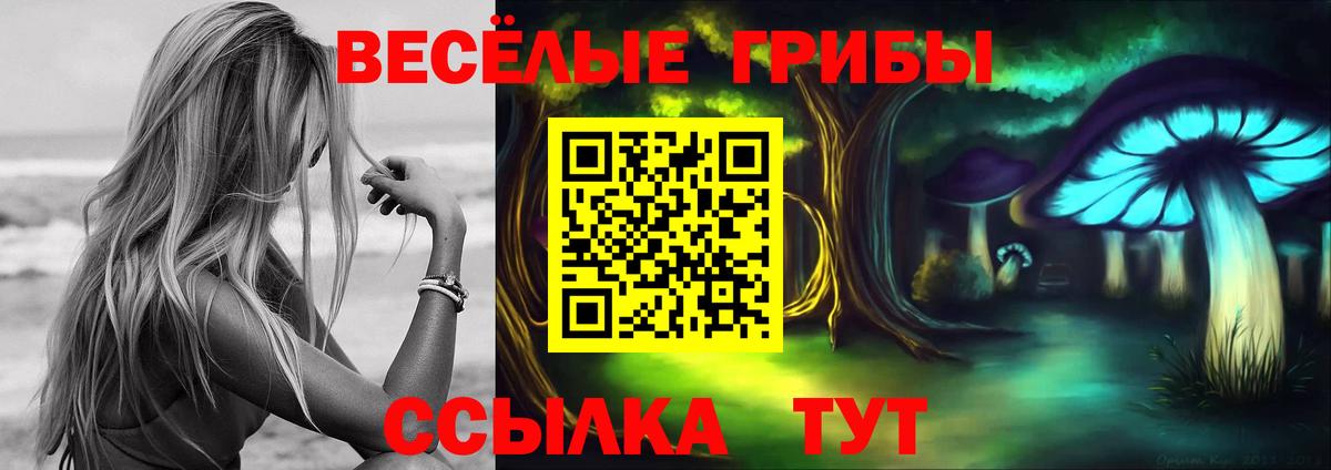 Партизанск  Псилоцибиновые грибы MAGIC MUSHROOMS  Галлюциногенные грибы прущие грибы  Вход с VPN 